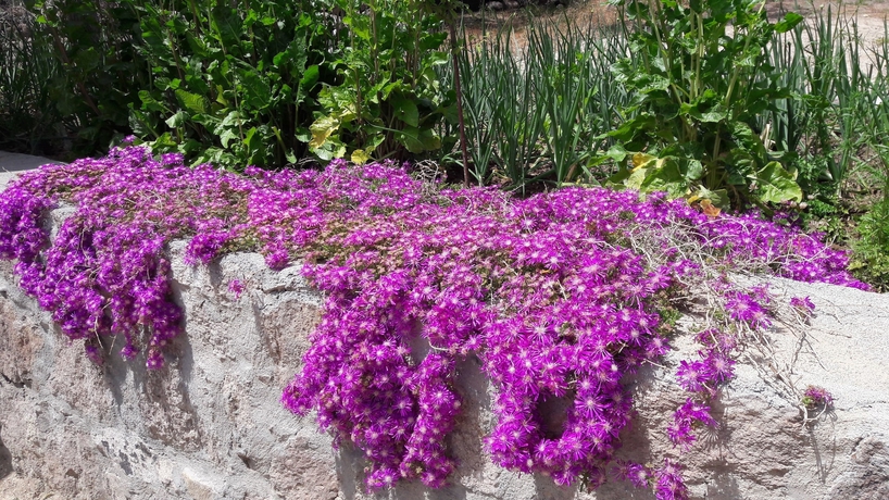 Imagen de los exteriores del Motel Assos Nazan Restoran Beach. Foto 13