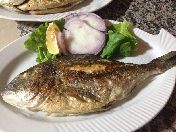 Imagen del bar/restaurante del Motel Assos Nazan Restoran Beach. Foto 9