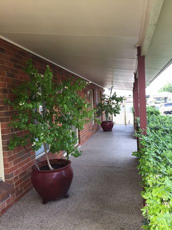 Imagen de la habitación del Motel Aussie Rest. Foto 6