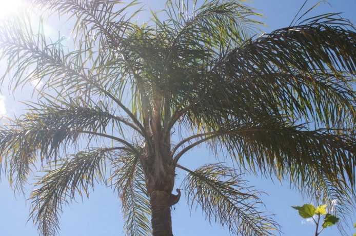 Imagen de los exteriores del Motel Beach Park, Wollongong. Foto 15