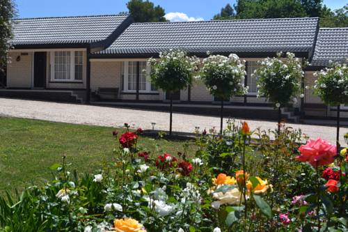Imagen de la habitación del Motel Bendigo Welcome Stranger. Foto 4