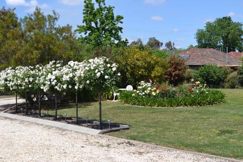 Imagen de la habitación del Motel Bendigo Welcome Stranger. Foto 5