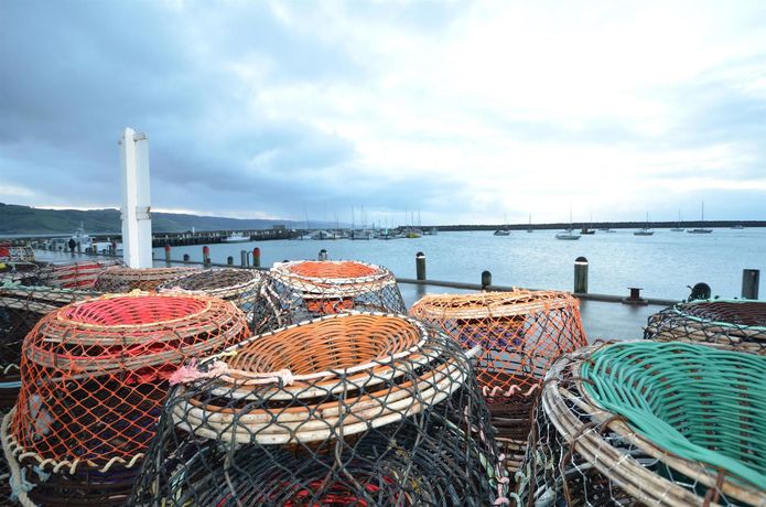 Imagen de los interiores del Motel Best Western Apollo Bay Motel and Apartments. Foto 11
