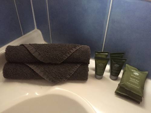 Imagen de la habitación del Motel Birch Bowen. Foto 4