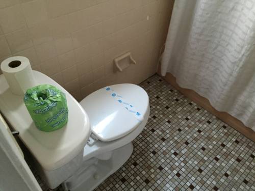Imagen de la habitación del Motel Bird Of Paradise, North Wildwood. Foto 5