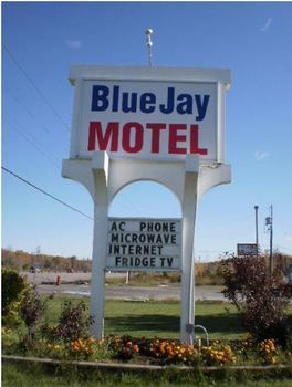 Imagen de la habitación del Motel Blue Jay. Foto 7