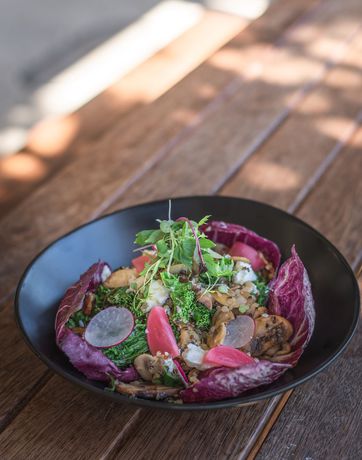 Imagen del bar/restaurante del Motel Blue Ocean Apollo Bay. Foto 5