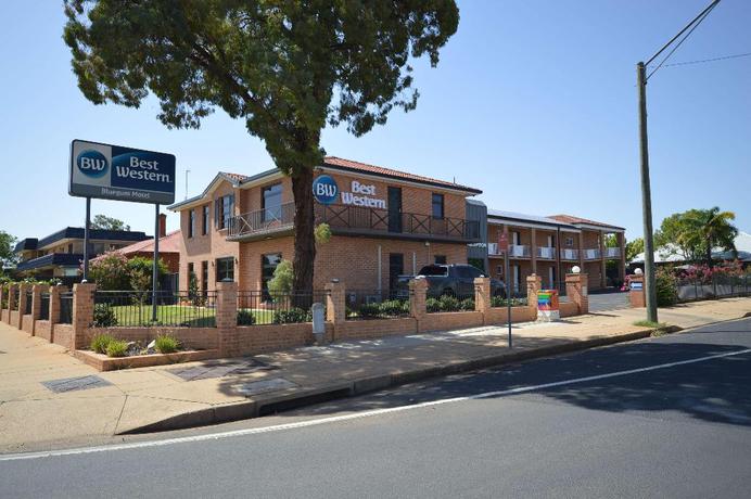 Imagen general del Motel Bluegum Dubbo. Foto 3