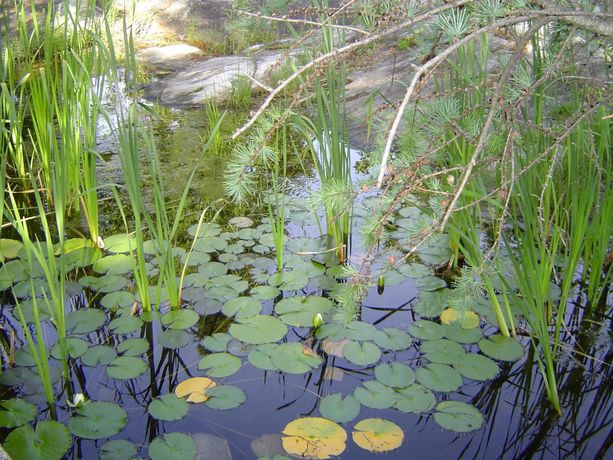 Imagen de la habitación del Motel Bo-mark. Foto 3