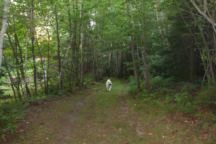 Imagen de los exteriores del Motel Bo-mark. Foto 8