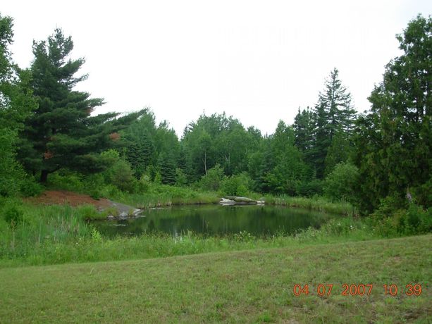 Imagen de los exteriores del Motel Bo-mark. Foto 9