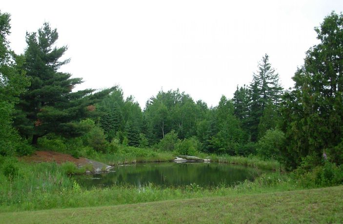 Imagen de los exteriores del Motel Bo-mark. Foto 10