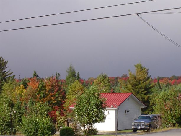 Imagen de los exteriores del Motel Bo-mark. Foto 11