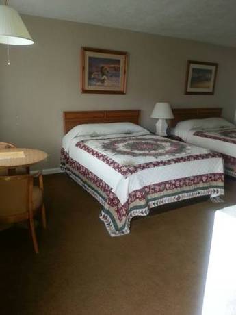 Imagen de la habitación del Motel Bristlecone. Foto 4