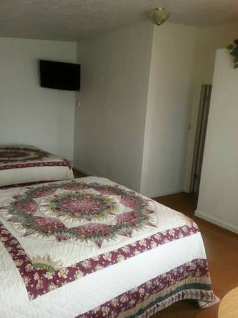 Imagen de la habitación del Motel Bristlecone. Foto 15