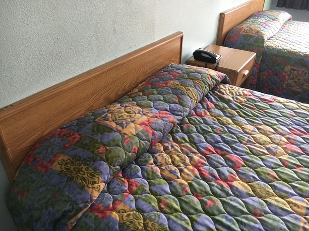 Imagen de la habitación del Motel Budget, Los &Aacute;ngeles. Foto 10