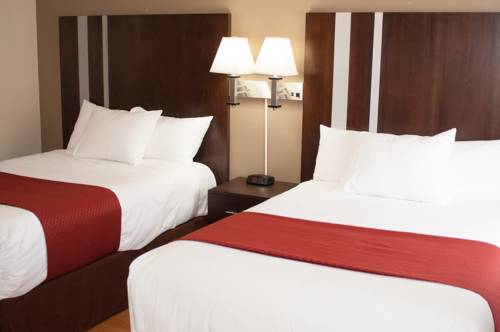 Imagen de la habitación del Motel Cambria Palms. Foto 10