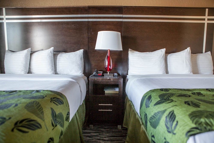 Imagen de la habitación del Motel Capri, San Francisco. Foto 4