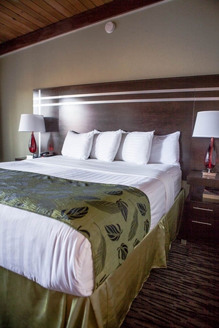 Imagen de la habitación del Motel Capri, San Francisco. Foto 6