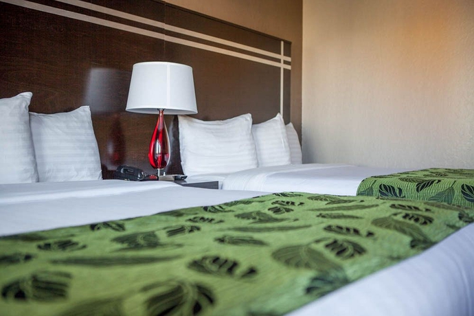 Imagen de la habitación del Motel Capri, San Francisco. Foto 8