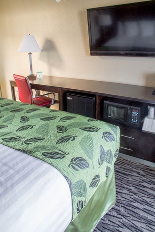 Imagen de la habitación del Motel Capri, San Francisco. Foto 11