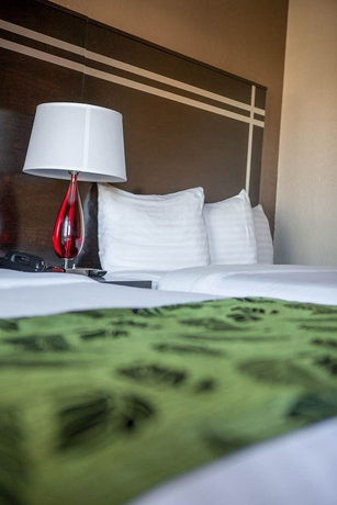 Imagen de la habitación del Motel Capri, San Francisco. Foto 12