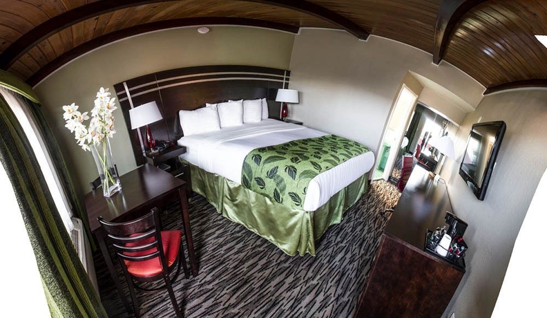 Imagen de la habitación del Motel Capri, San Francisco. Foto 14