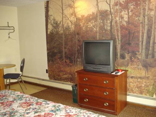 Imagen de la habitación del Motel Cedar Grove. Foto 4