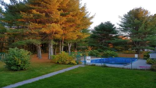 Imagen de la habitación del Motel Cedar Lane. Foto 2