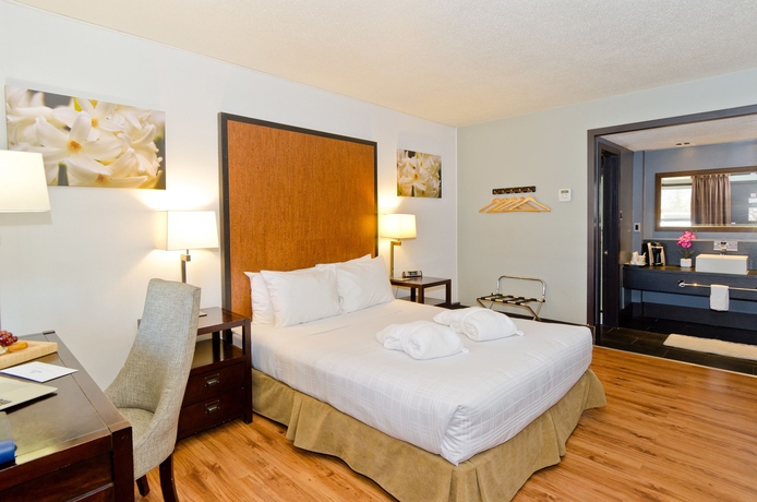 Imagen de la habitación del Motel Centro, Calgary. Foto 8
