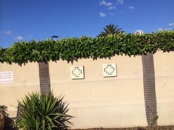 Imagen de la habitación del Motel Cessnock, Cessnock. Foto 6