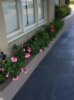 Imagen de los interiores del Motel Cessnock, Cessnock. Foto 15