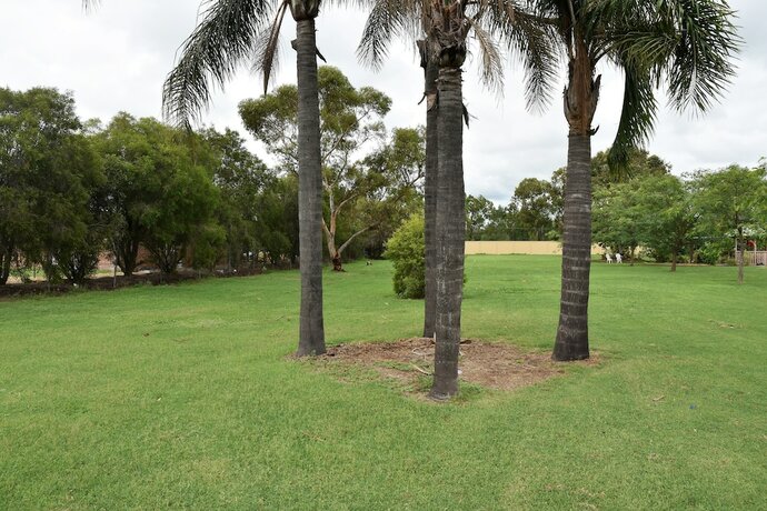 Imagen general del Motel Chinchilla. Foto 3