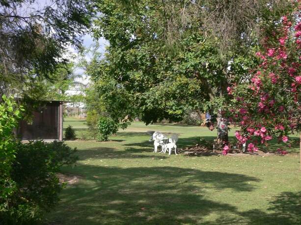 Imagen de los exteriores del Motel Chinchilla. Foto 25