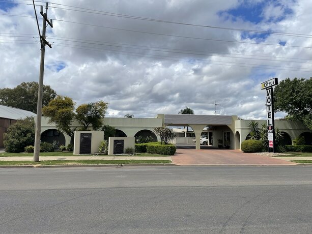 Imagen general del Motel Citrus, Griffith. Foto 10