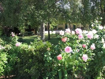 Imagen general del Motel City Park and Apartments. Foto 2