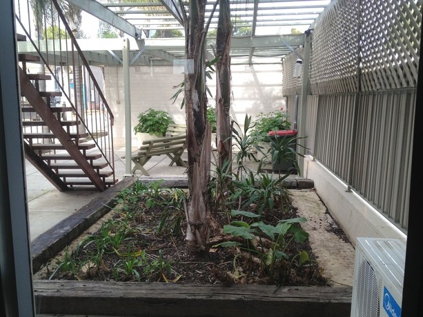Imagen de los exteriores del Motel City West. Foto 16