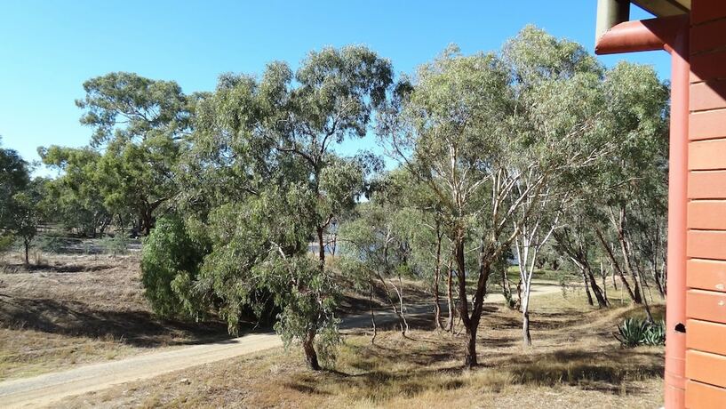 Imagen general del Motel Corowa Golf Club. Foto 5