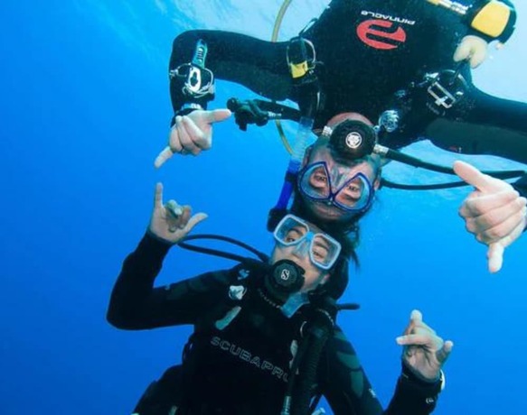 Imagen general del Motel Costa Rica, South West Rocks. Foto 4