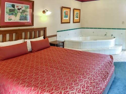 Imagen de la habitación del Motel Dalby Homestead. Foto 2