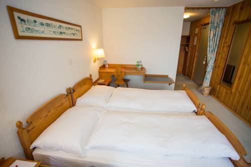 Imagen de la habitación del Motel De La Gruy&egrave;re Restoroute. Foto 6