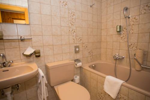 Imagen de la habitación del Motel De La Gruy&egrave;re Restoroute. Foto 7