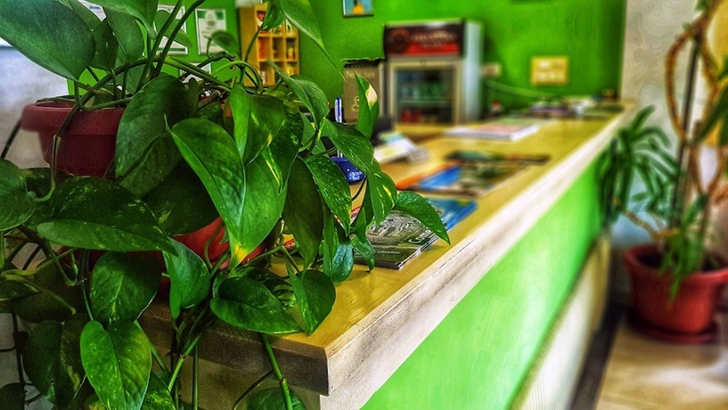 Imagen de los interiores del Motel Deny. Foto 14
