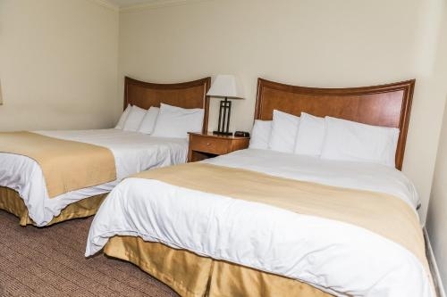 Imagen de la habitación del Motel Desert Sand Resort. Foto 6