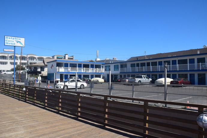 Imagen general del Motel Dolphin Cove. Foto 4