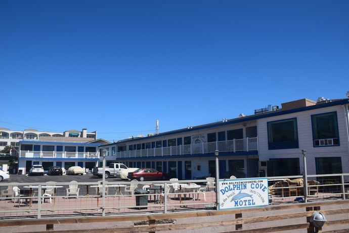 Imagen general del Motel Dolphin Cove. Foto 6