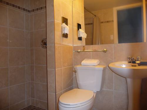 Imagen de la habitación del Motel Du Fleuve. Foto 11