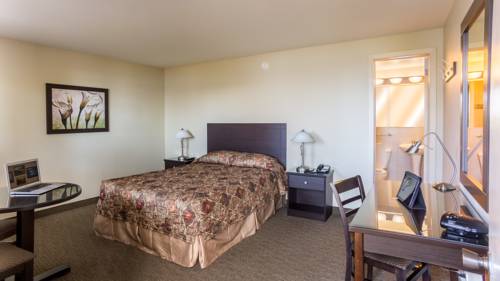 Imagen de la habitación del Motel Du Fleuve. Foto 12