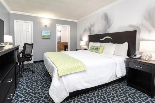 Imagen de la habitación del Motel Dusk Hollywood. Foto 5