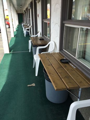 Imagen de la habitación del Motel East Kootenay. Foto 5